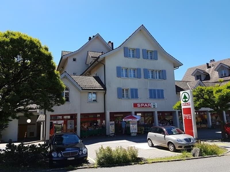 Gemütliche Wohnung im Zentrum von Bonstetten zu vermieten (1)
