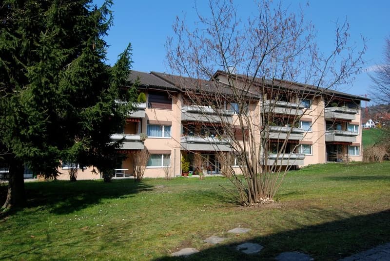 Wunderschöne 4.5 Zimmerwohnung im Erdgeschoss in Remetschwil (2)