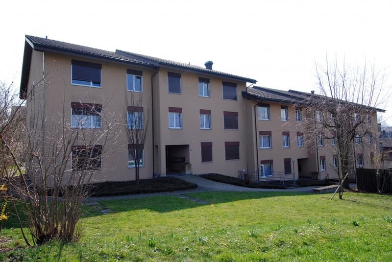 Wunderschöne 4.5 Zimmerwohnung im Erdgeschoss in Remetschwil (1)