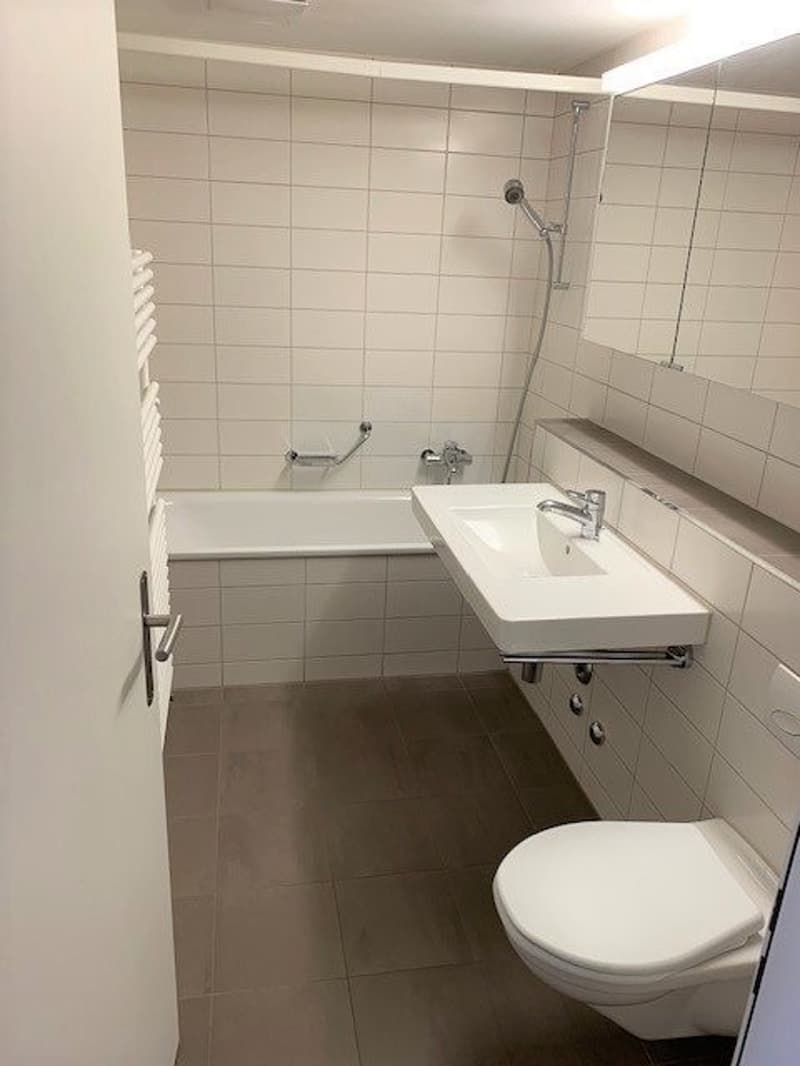 Schöne 3.5 ZWG in Adliswil zu vermieten (9)
