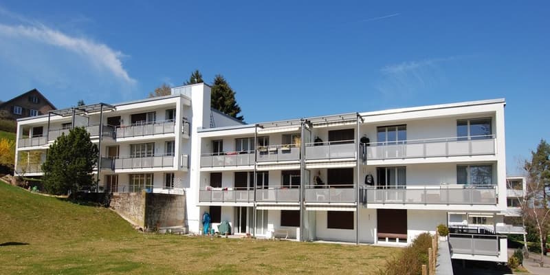 Grosszügige Wohnung mit Gartensitzplatz und Balkon zu vermieten (1)