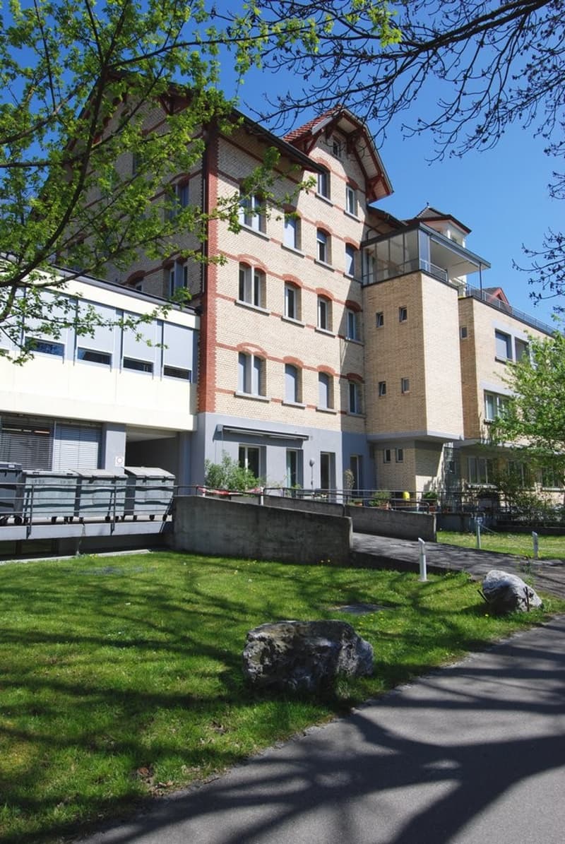 Traumwohnung im Zentrum von Uster! (2)