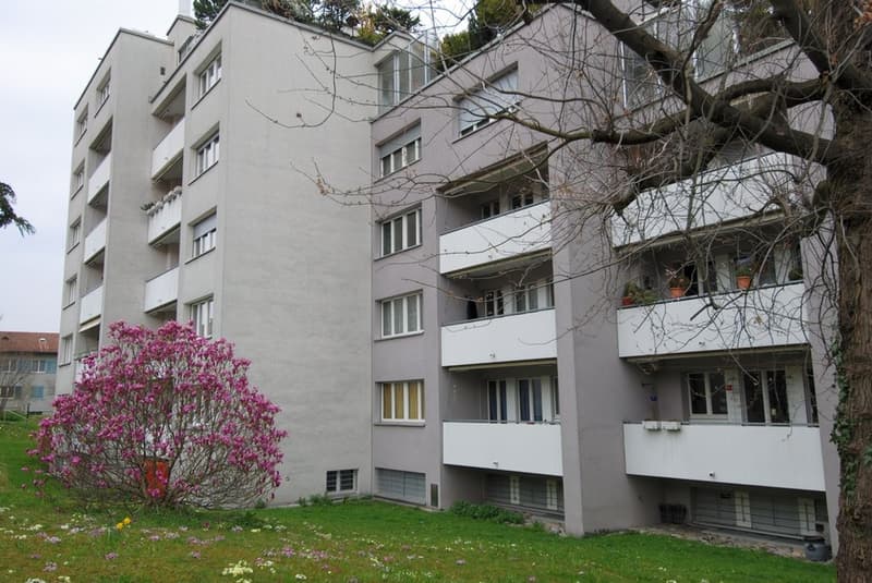 Das Albisgüetli in Reichweite (2)