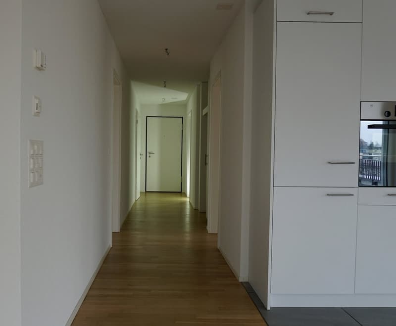 Moderne 3.5-Zimmer-Attikawohnung zu vermieten! (6)