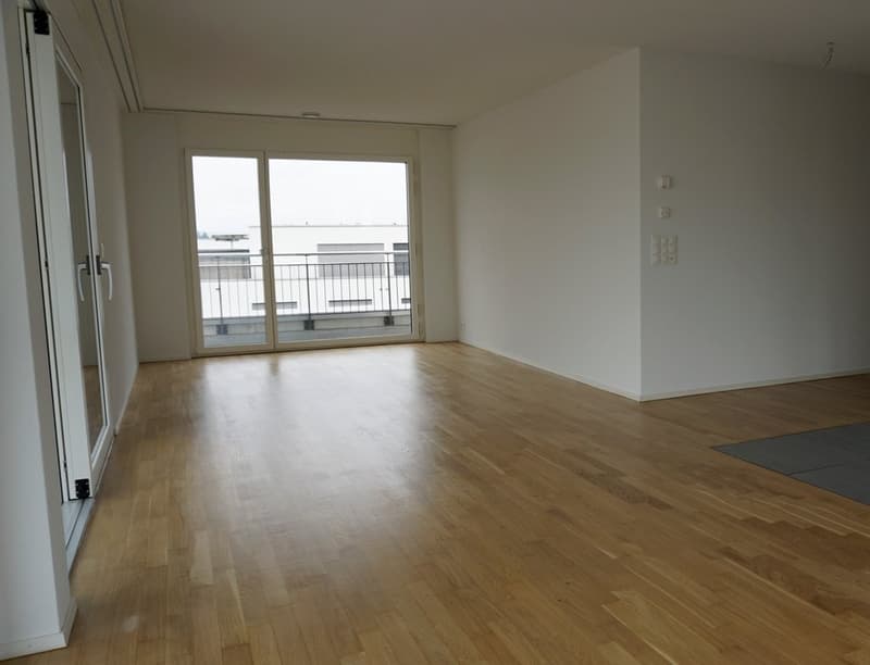 Moderne 3.5-Zimmer-Attikawohnung zu vermieten! (4)