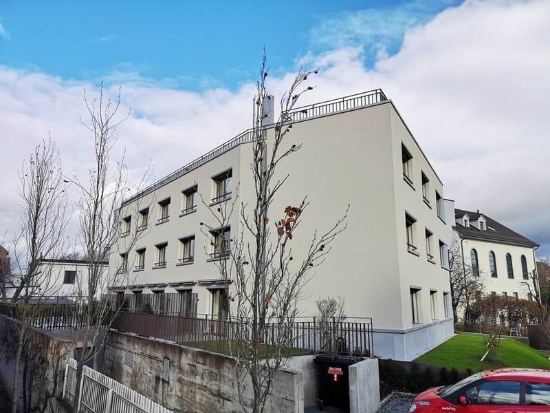Charmante Maisonettewohnung mit Terrasse zu vermieten (1)