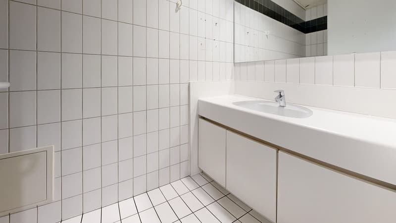 6550020001-2-Rue-De-La-Gare-15A-1110-Morges-Bathroom.jpg