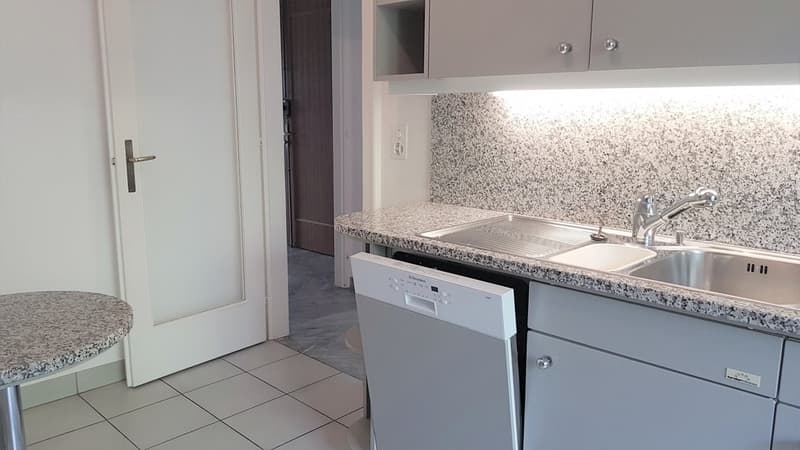Superbe appartement de 6 pièces avec vue panoramique sur le lac (4)