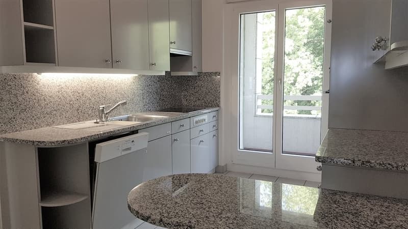 Superbe appartement de 6 pièces avec vue panoramique sur le lac (5)