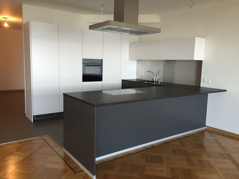 Superbe appartement avec vue sur le lac (4)