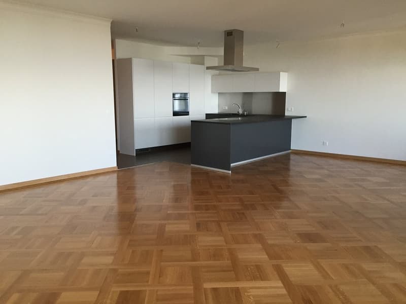Superbe appartement avec vue sur le lac (6)