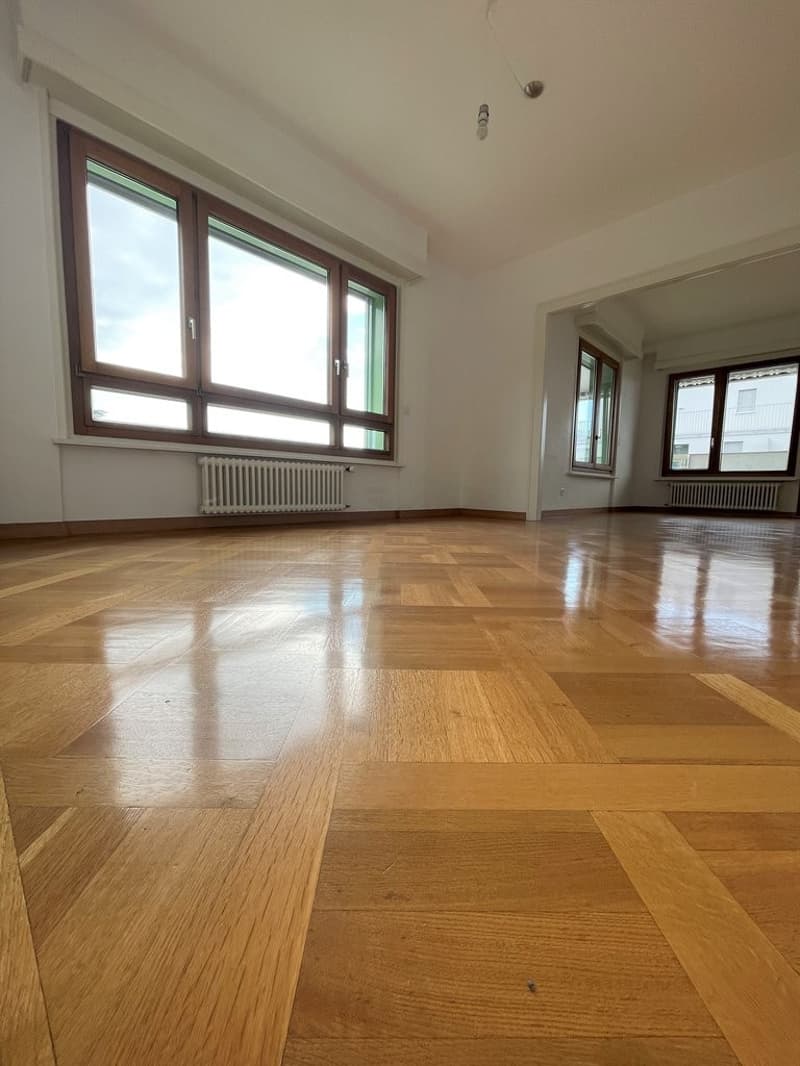 Superbe appartement de 6 pièces avec vue panoramique sur le lac (8)