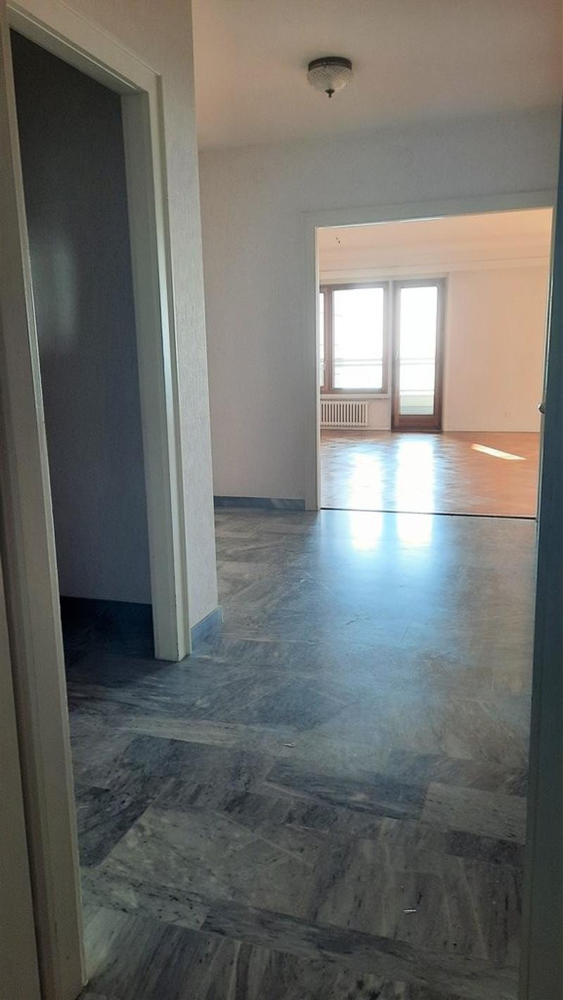 Splendide logement avec une vue sur le lac (5)