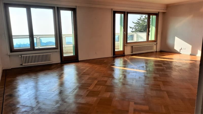 Splendide logement avec une vue sur le lac (2)