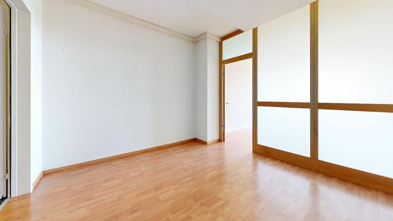 9100010600-Avenue-Du-Leman-30-1005-Lausanne-Living-Room.jpg