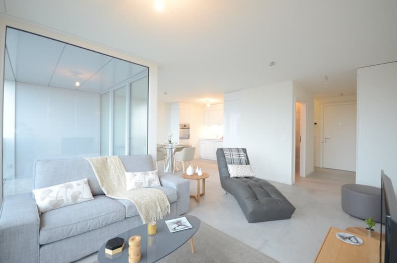 Magnifique duplex avec vue sur le lac (4)