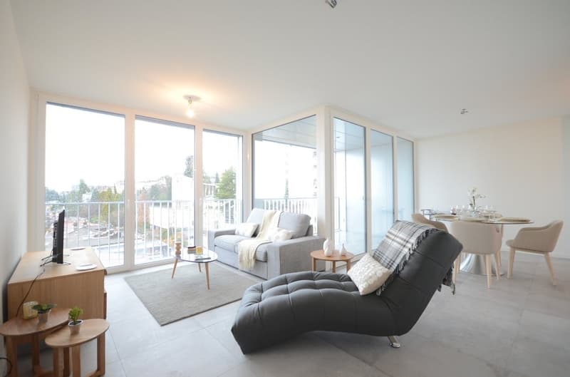 Magnifique duplex avec vue sur le lac (2)