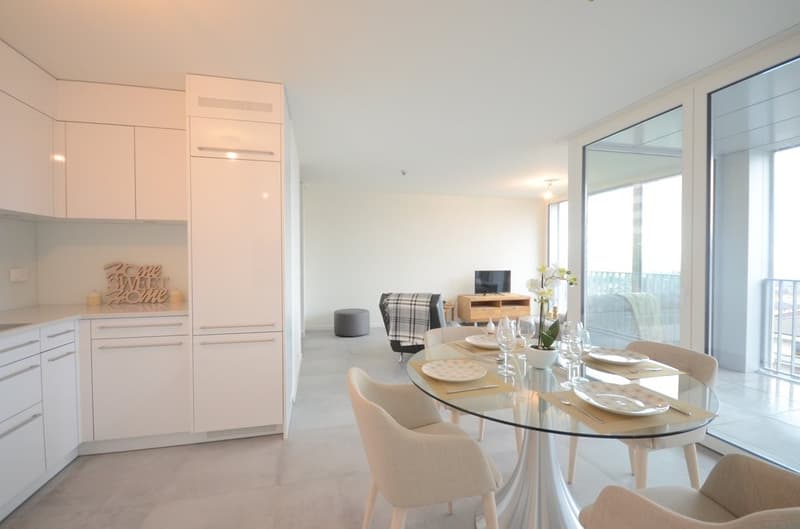 Magnifique duplex avec vue sur le lac (5)