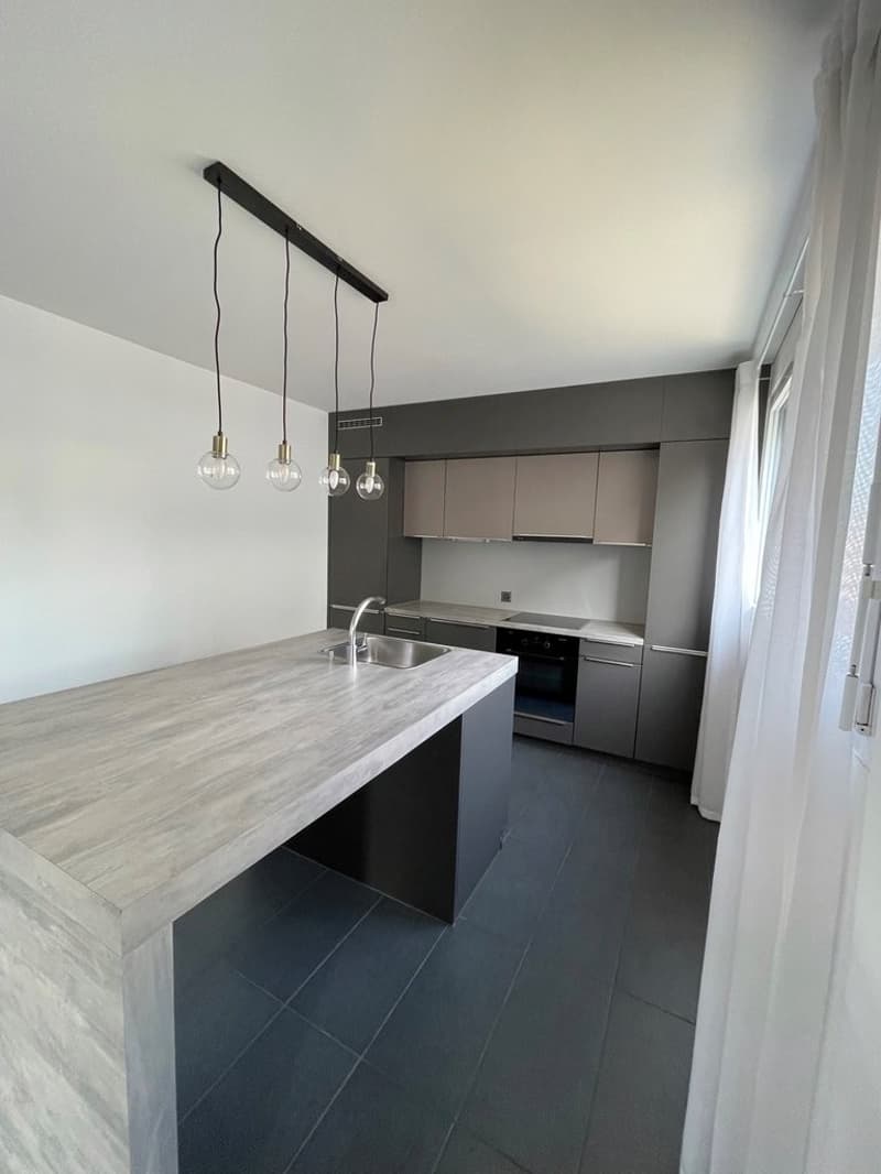 Superbe attique en duplex avec vue sur le lac ! (2)