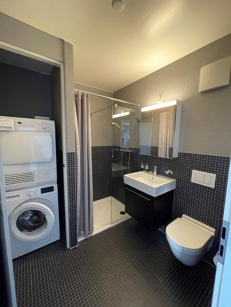 Superbe attique en duplex avec vue sur le lac ! (9)