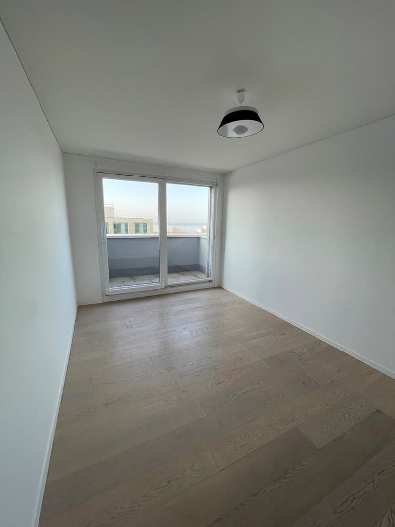 Superbe attique en duplex avec vue sur le lac ! (7)