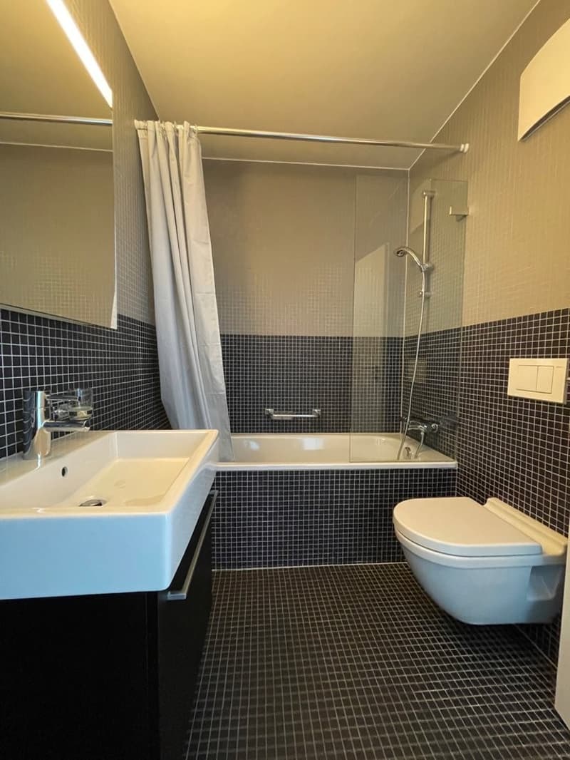 Superbe attique en duplex avec vue sur le lac ! (8)