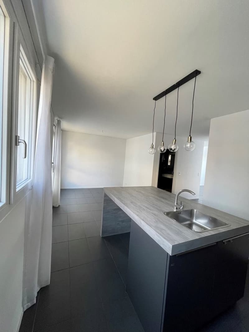 Superbe attique en duplex avec vue sur le lac ! (10)