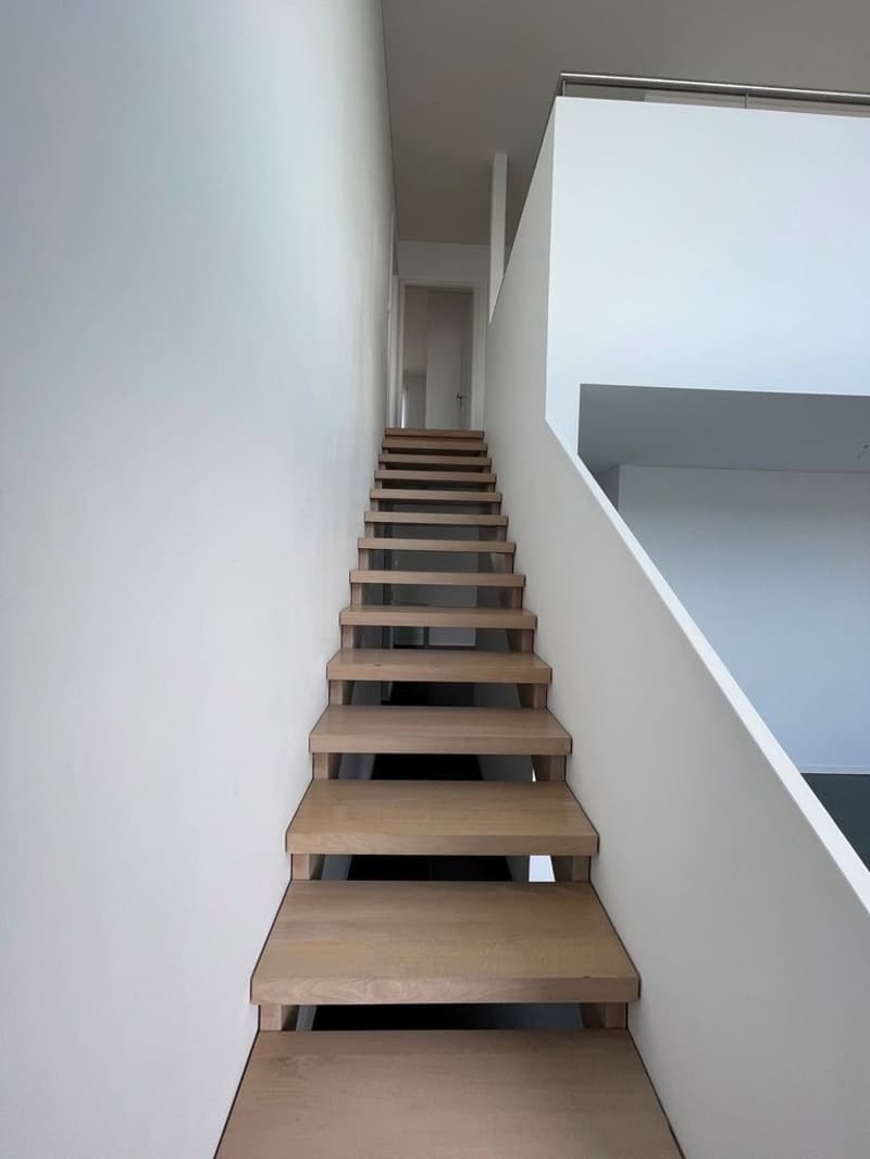 Superbe attique en duplex avec vue sur le lac ! (4)