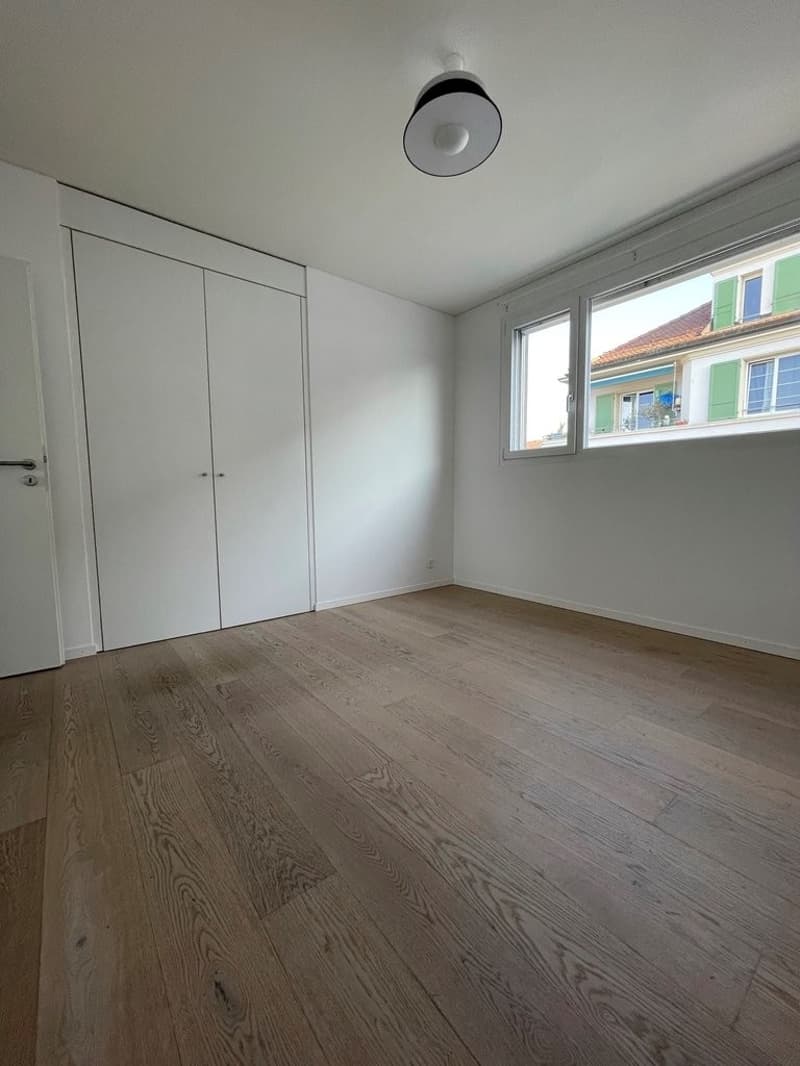 Superbe attique en duplex avec vue sur le lac ! (5)
