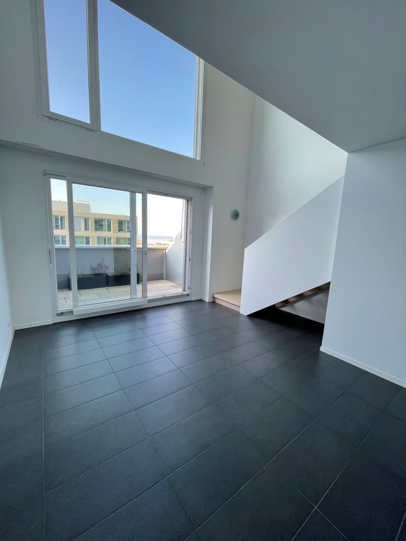 Superbe attique en duplex avec vue sur le lac ! (3)