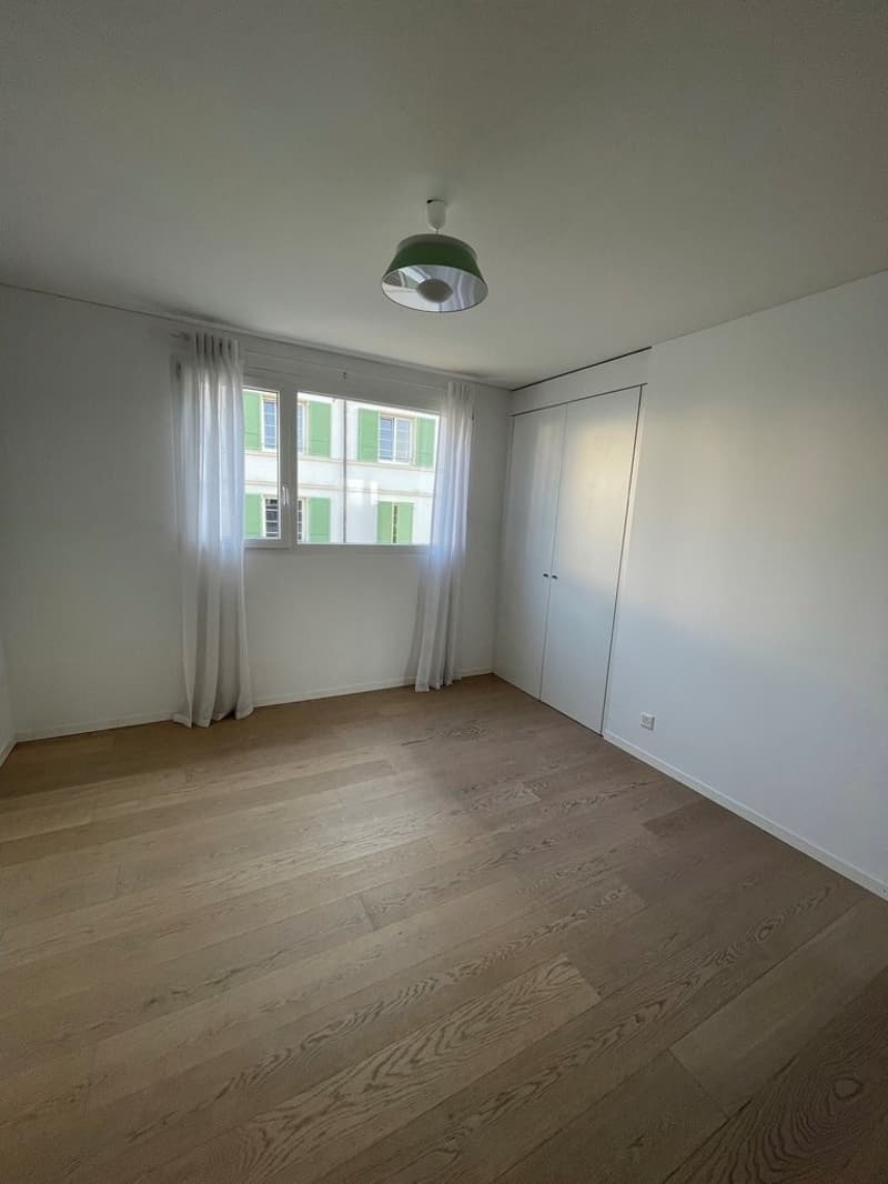 Superbe attique en duplex avec vue sur le lac ! (6)