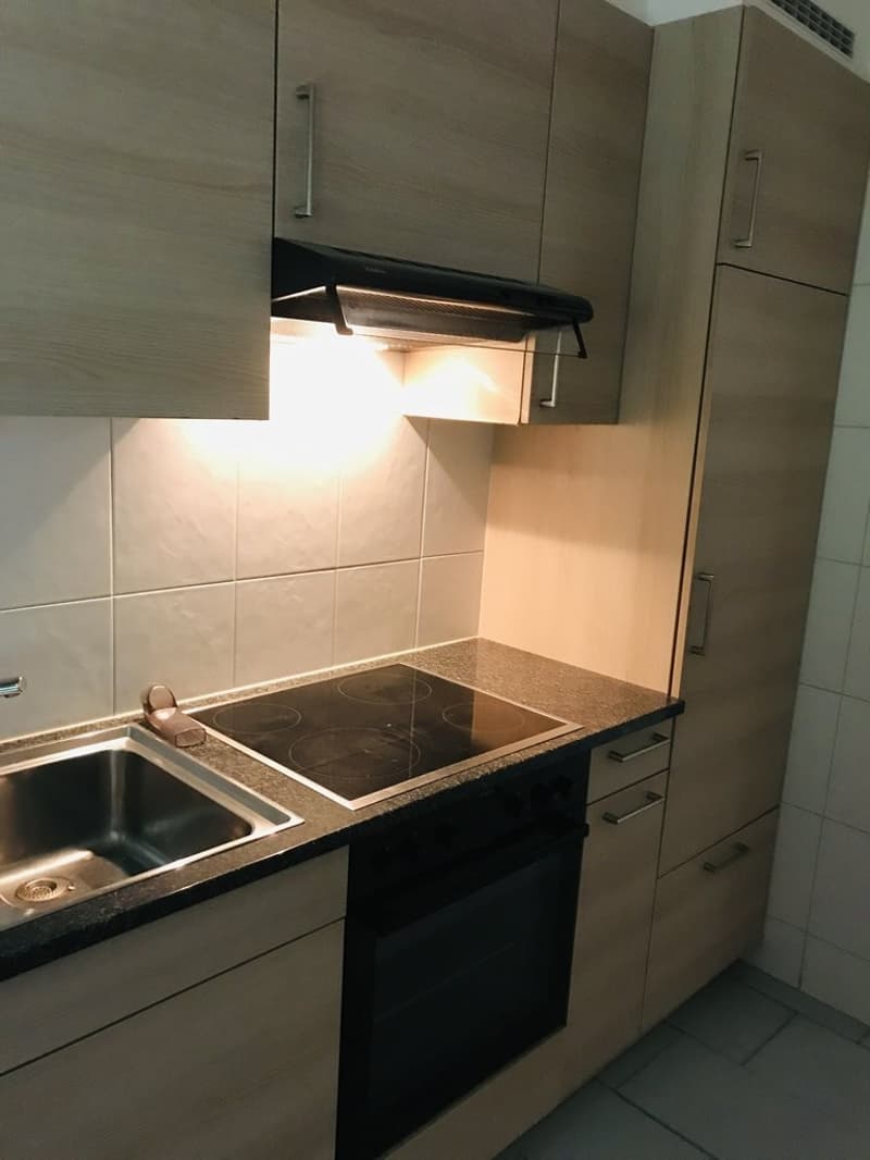 Bel appartement dans un quartier calme (3)