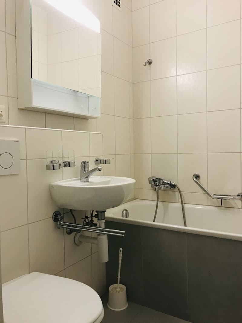 Bel appartement dans un quartier calme (5)