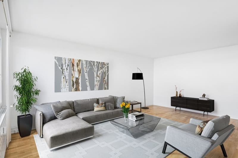 Bel appartement de 2 pièces (5)