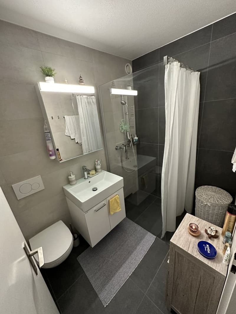 Bel appartement de 2 pièces (4)