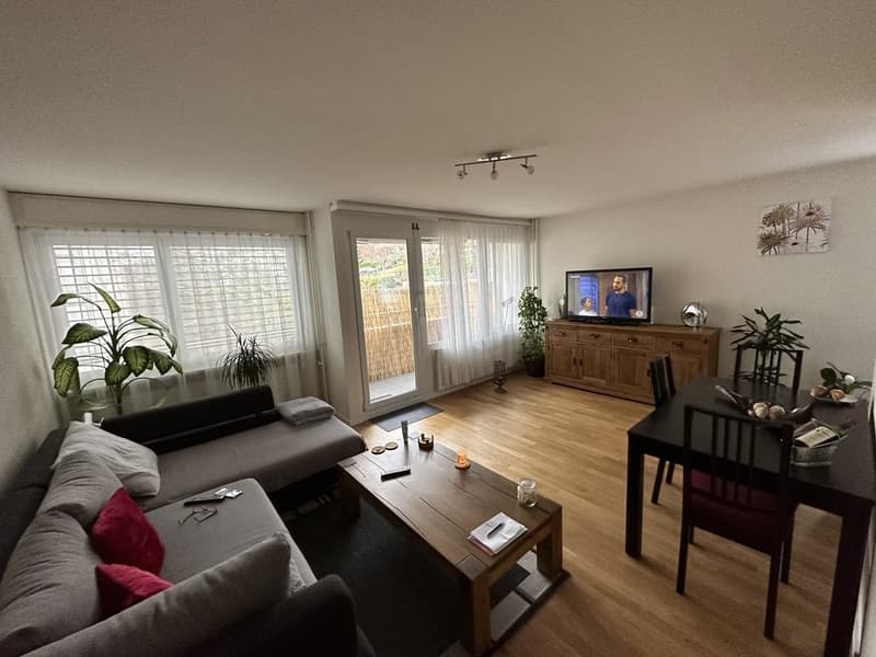 Bel appartement de 2 pièces (2)
