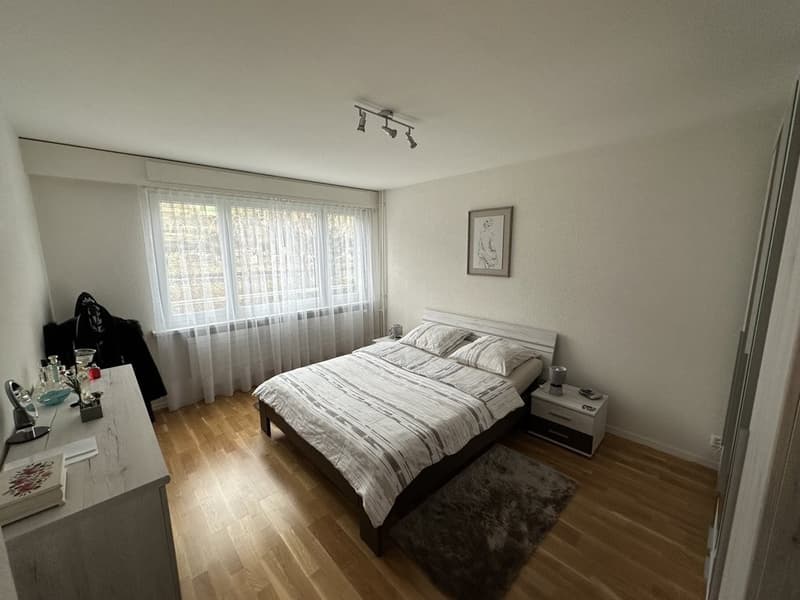Bel appartement de 2 pièces (3)