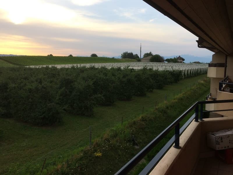 Grand 3.5 pièces dans les combles (7)