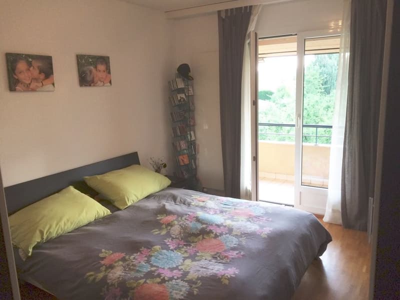 Grand 3.5 pièces dans les combles (6)
