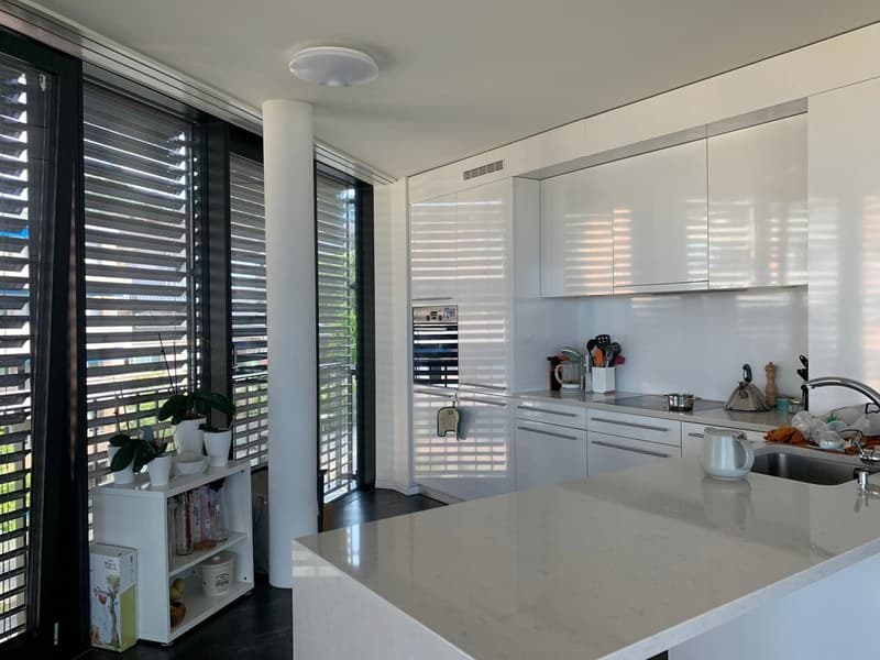 Superbe logement avec vue sur le lac ! (2)
