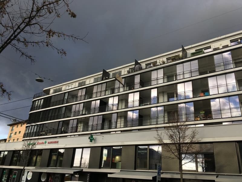 Superbe logement avec vue sur le lac ! (7)