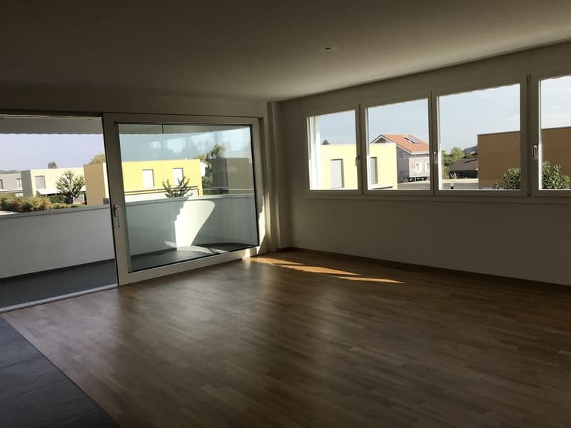 Magnifique 3.5 pièces dans un quartier résidentiel (3)