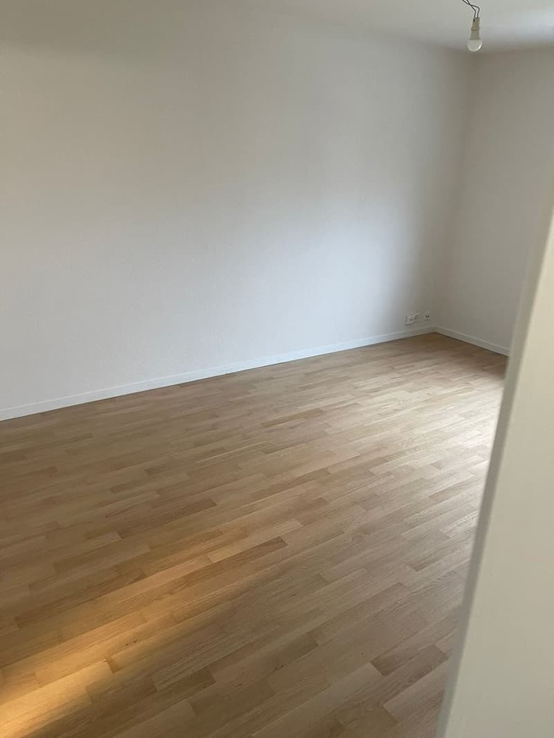 Joli logement au dernier étage (3)