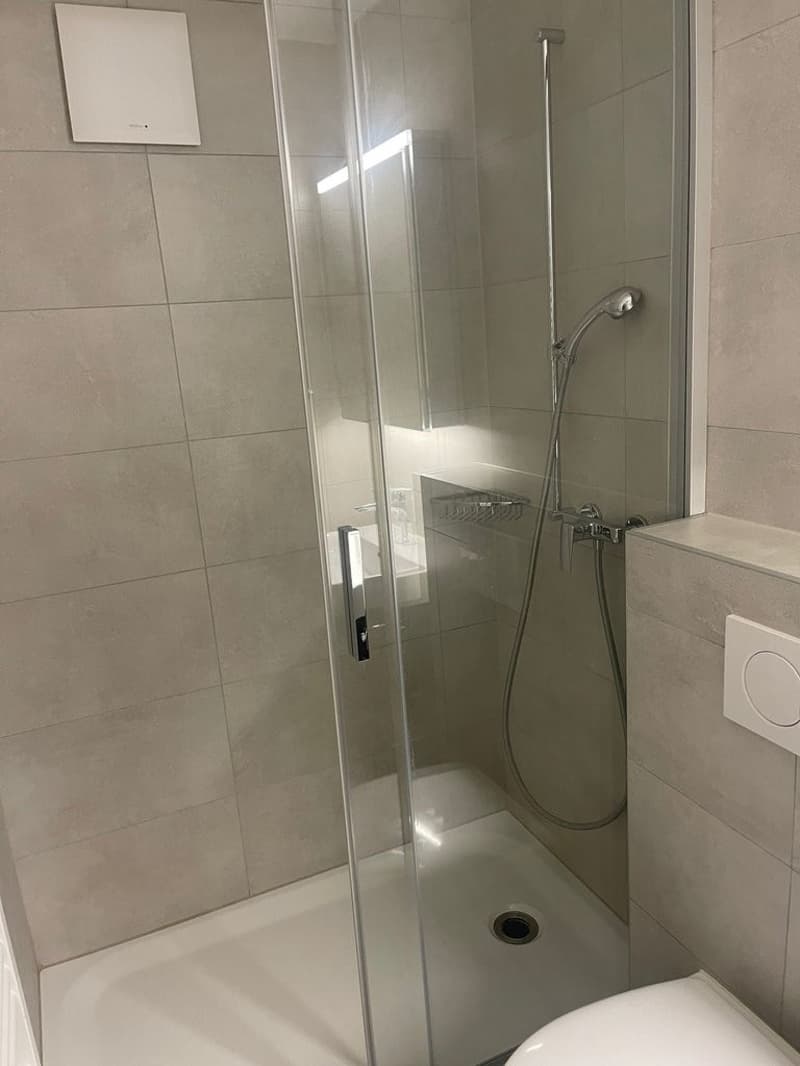 Joli logement au dernier étage (4)