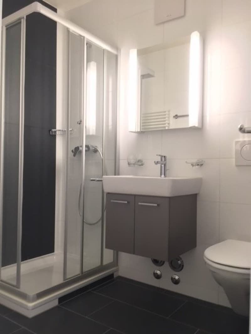 Très bel appartement au calme (5)