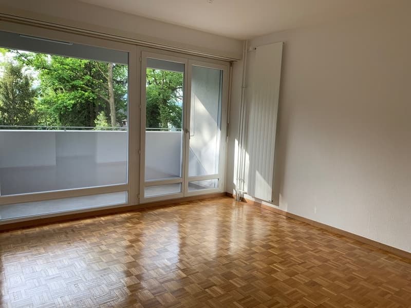Très bel appartement au calme (2)