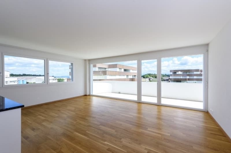 Magnifique 3.5 pièces dans un quartier résidentiel (4)
