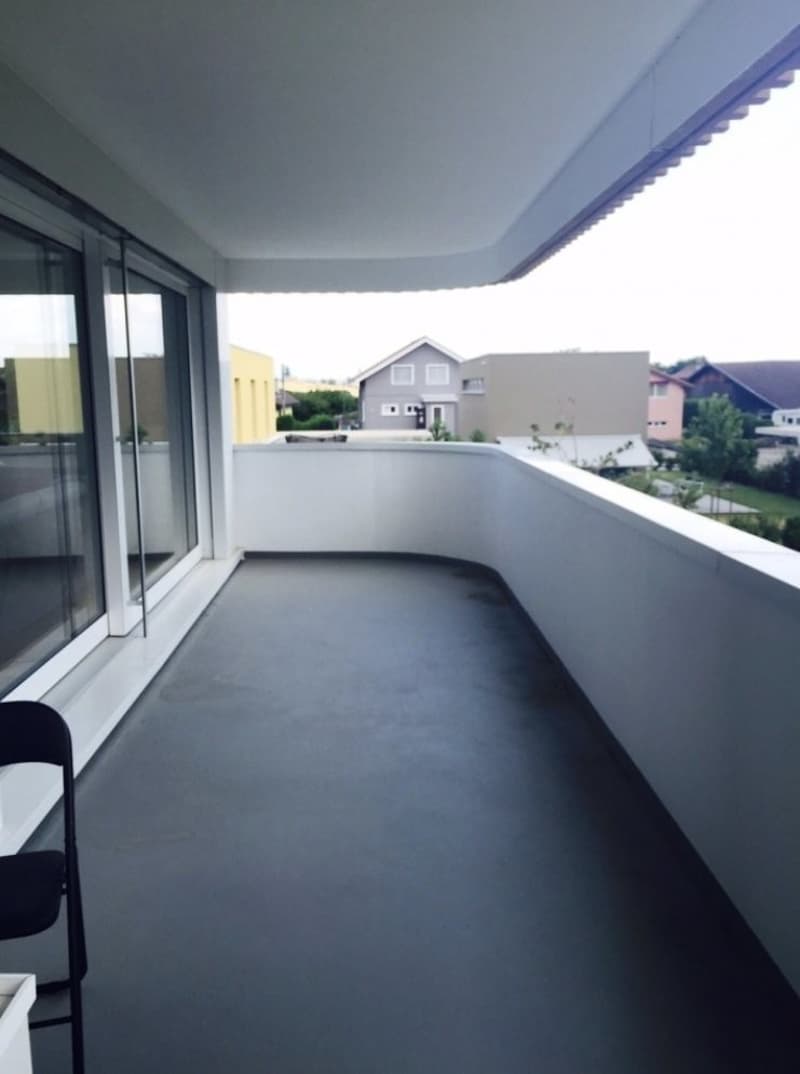 Magnifique 3.5 pièces dans un quartier résidentiel (2)