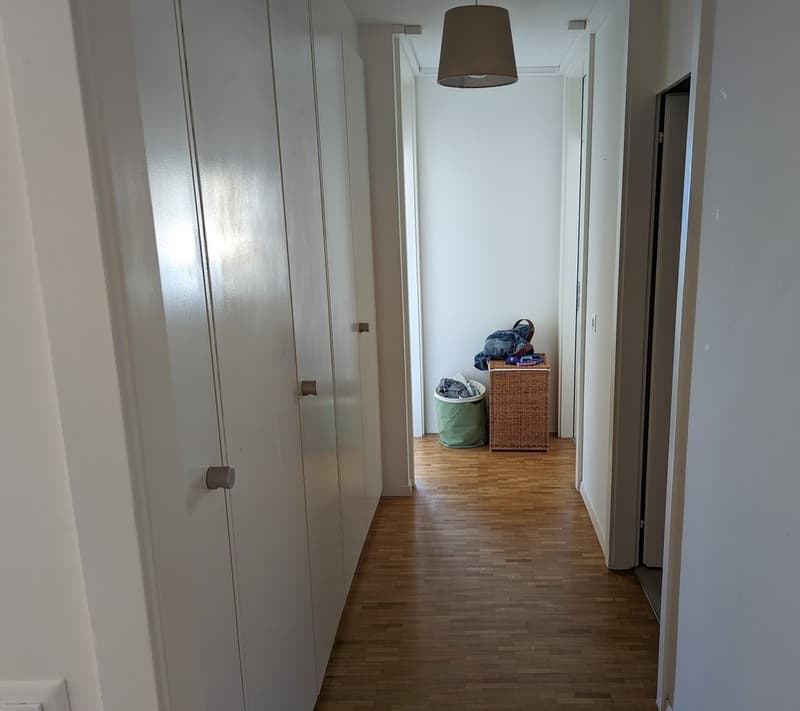 Très bel appartement lumineux (3)