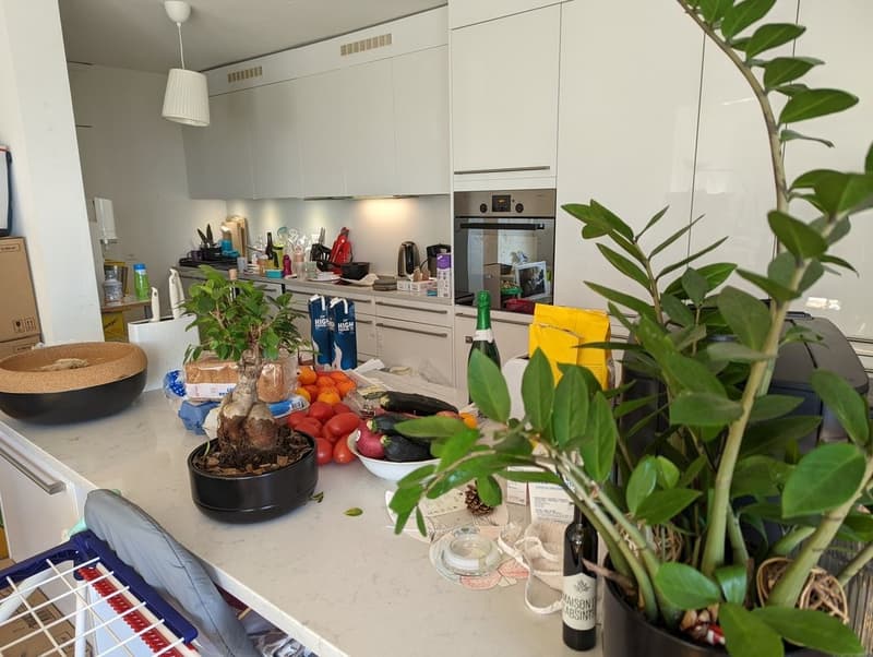 Très bel appartement lumineux (7)